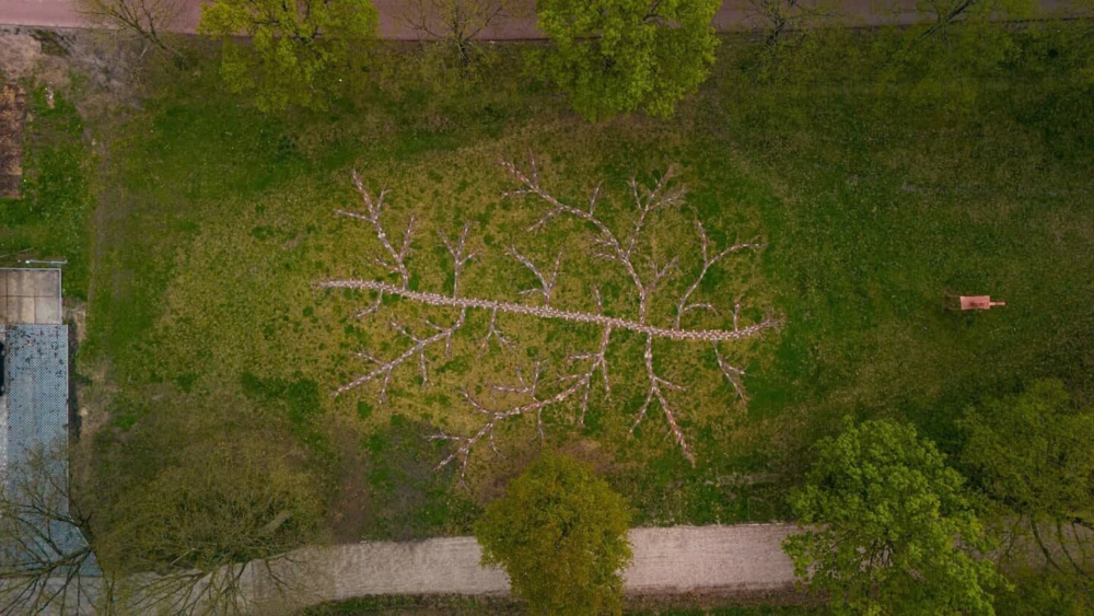 Deze foto van een landschapskunstwerk is vanuit de lucht genomen. Het kunstwerk van duizenden bakstenen ligt in een plantsoen, omringd door een tiental bomen. De bakstenen hebben verschillende lichte gele en rode kleuren. Ze zijn gelegd in de vorm van een boom, met verschillende takken.