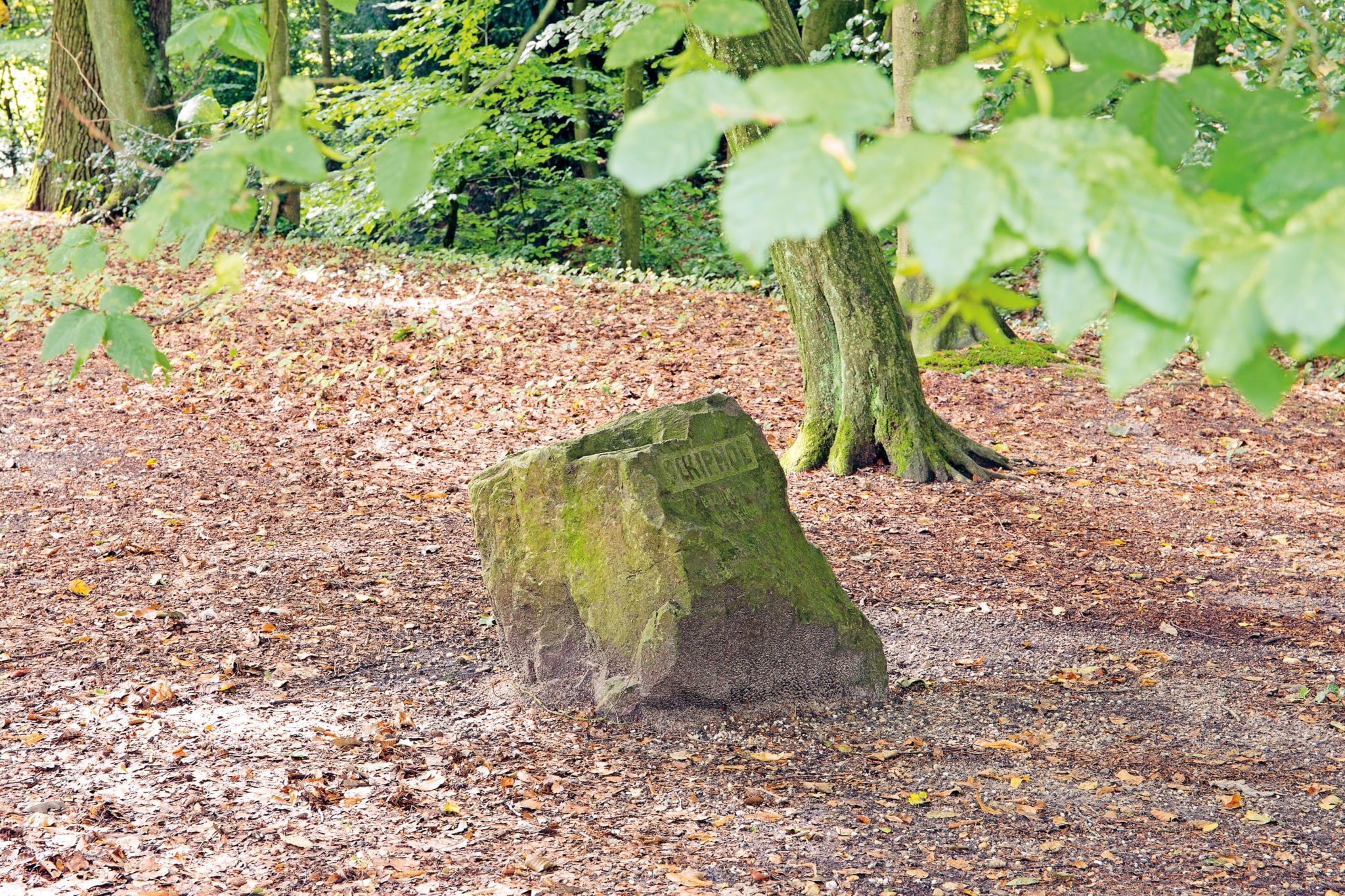 Een grote vierkant gevormde zwerfkei ligt in het bos. Op de rechterzijde is een tekst gekerfd, die begint met het woord ‘Schiphol’.